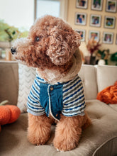 'Denim Striped' Hoodie, Blue for Dogs & Cats – Soft, Stylish Pet Apparel