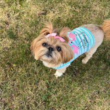 'Flamingos'  Dog Shirt – Lightweight & Breathable Summer Outfit for Small Dogs & Cats, Light Blue and White Stripes