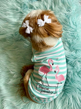 'Flamingos'  Dog Shirt – Lightweight & Breathable Summer Outfit for Small Dogs & Cats, Light Blue and White Stripes
