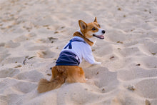 'Sailor Dog' Halloween Costume - Navy Blue Sailor Outfit for Dogs & Cats