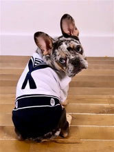 'Sailor Dog' Halloween Costume - Navy Blue Sailor Outfit for Dogs & Cats