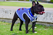 'Captain' Fun Sailor Dog Outfit – Soft and Breathable Nautical Pet Wear for Small Dogs & Cats, Blue & White Stripes