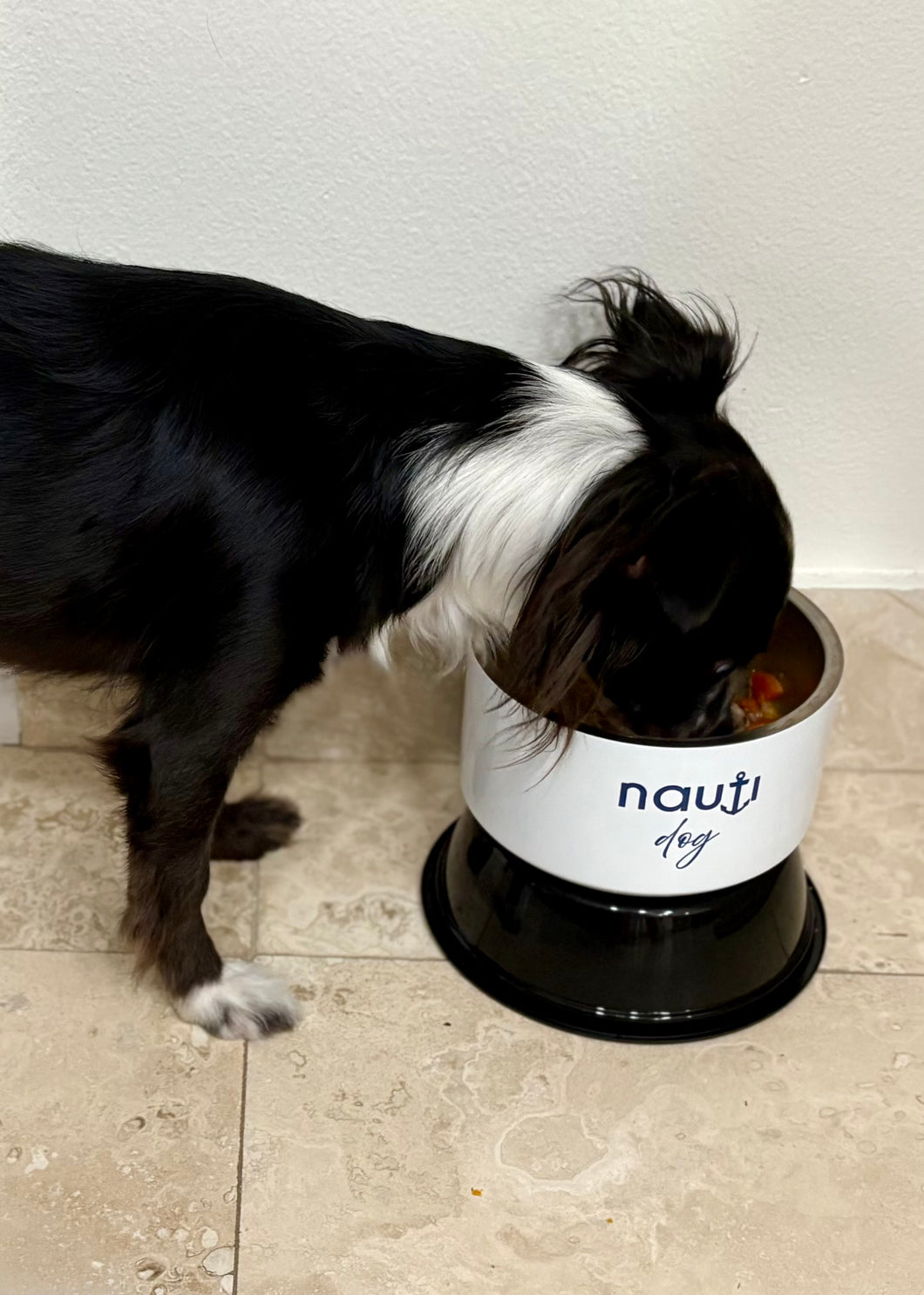 NAUTI dog Pet bowl in white with navy logo