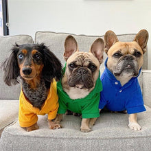 'Polo' Dog & Cat T-Shirt – Trendy Cotton Polo, Comfortable & Lightweight – Blue