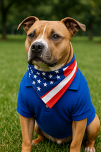 'Polo' Dog & Cat T-Shirt – Trendy Cotton Polo, Comfortable & Lightweight – Blue
