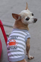 'Crabby But Cute Tee' Embroidered Dog Shirt - Trendy Pet Apparel for Dogs & Cats, Gray and White Stripes