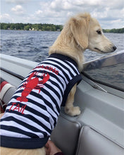 'Lobster Chasing Tail' Dog Shirt – Nautical Cotton Pet T-Shirt for Dogs & Cats, Blue & White Stripes
