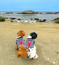 'Lobster Chasing Tail' Dog Shirt – Nautical Cotton Pet T-Shirt for Dogs & Cats, Blue & White Stripes