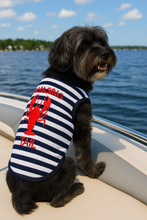 'Lobster Chasing Tail' Dog Shirt – Nautical Cotton Pet T-Shirt for Dogs & Cats, Blue & White Stripes