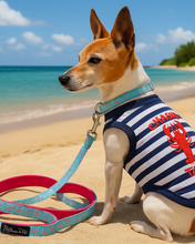 'Lobster Chasing Tail' Dog Shirt – Nautical Cotton Pet T-Shirt for Dogs & Cats, Blue & White Stripes