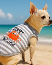 'Crabby But Cute Tee' Embroidered Dog Shirt - Trendy Pet Apparel for Dogs & Cats, Gray and White Stripes