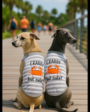'Crabby But Cute Tee' Embroidered Dog Shirt - Trendy Pet Apparel for Dogs & Cats, Gray and White Stripes
