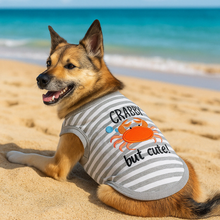 'Crabby But Cute Tee' Embroidered Dog Shirt - Trendy Pet Apparel for Dogs & Cats, Gray and White Stripes