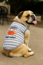 'Crabby But Cute Tee' Embroidered Dog Shirt - Trendy Pet Apparel for Dogs & Cats, Gray and White Stripes