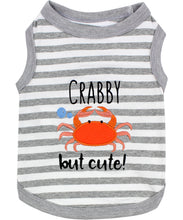 'Crabby But Cute Tee' Embroidered Dog Shirt - Trendy Pet Apparel for Dogs & Cats, Gray and White Stripes