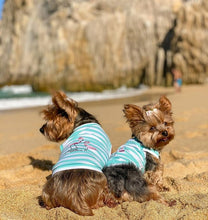 'Flamingos'  Dog Shirt – Lightweight & Breathable Summer Outfit for Small Dogs & Cats, Light Blue and White Stripes