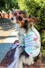 'Flamingos'  Dog Shirt – Lightweight & Breathable Summer Outfit for Small Dogs & Cats, Light Blue and White Stripes