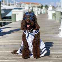 'Sailor Dress' Dog & Cat Shirt – Nautical Pet Apparel, Stylish & Comfortable – White & Blue