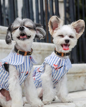 'Flamingo Print Dog Dress' for Dogs and Cats, Sleeveless, Comfortable Summer Outfit, Blue and White Stripes