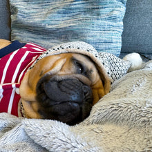 'Striped Pom Pom Hoodie', Red – Soft & Fashionable Pet Hoodie with Playful Pom Pom Design