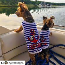 'Captain' Fun Sailor Dog Outfit – Soft and Breathable Nautical Pet Wear for Small Dogs & Cats, Blue & White Stripes