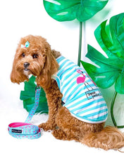 'Flamingos'  Dog Shirt – Lightweight & Breathable Summer Outfit for Small Dogs & Cats, Light Blue and White Stripes