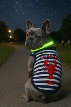 'Lobster Chasing Tail' Dog Shirt – Nautical Cotton Pet T-Shirt for Dogs & Cats, Blue & White Stripes
