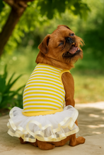 'Ballerina Dress' for Dogs and Cats, Comfortable Sleeveless, Yellow with White Stripes