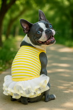'Ballerina Dress' for Dogs and Cats, Comfortable Sleeveless, Yellow with White Stripes