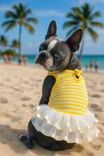 'Ballerina Dress' for Dogs and Cats, Comfortable Sleeveless, Yellow with White Stripes
